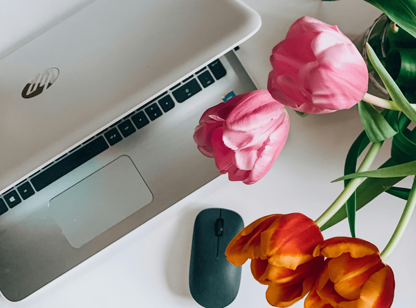 Frühlings-Trend: Diese 5 digitalen Produkte boomen jetzt